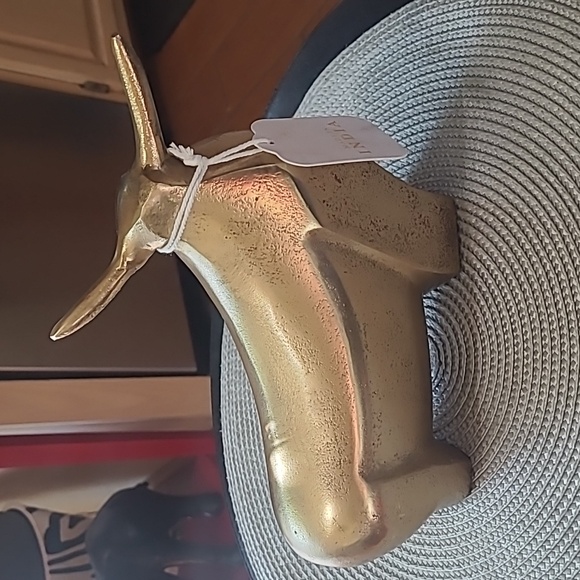 🐂 Metal Longhorn Bull Decor - Picture 3 of 10